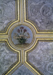 Bloemendecoratie op het plafond, uit de 